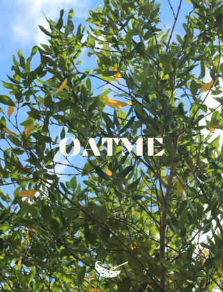 From Orchard to Ocean: How OATME is Leading the Way to Eco-Conscious Snacking